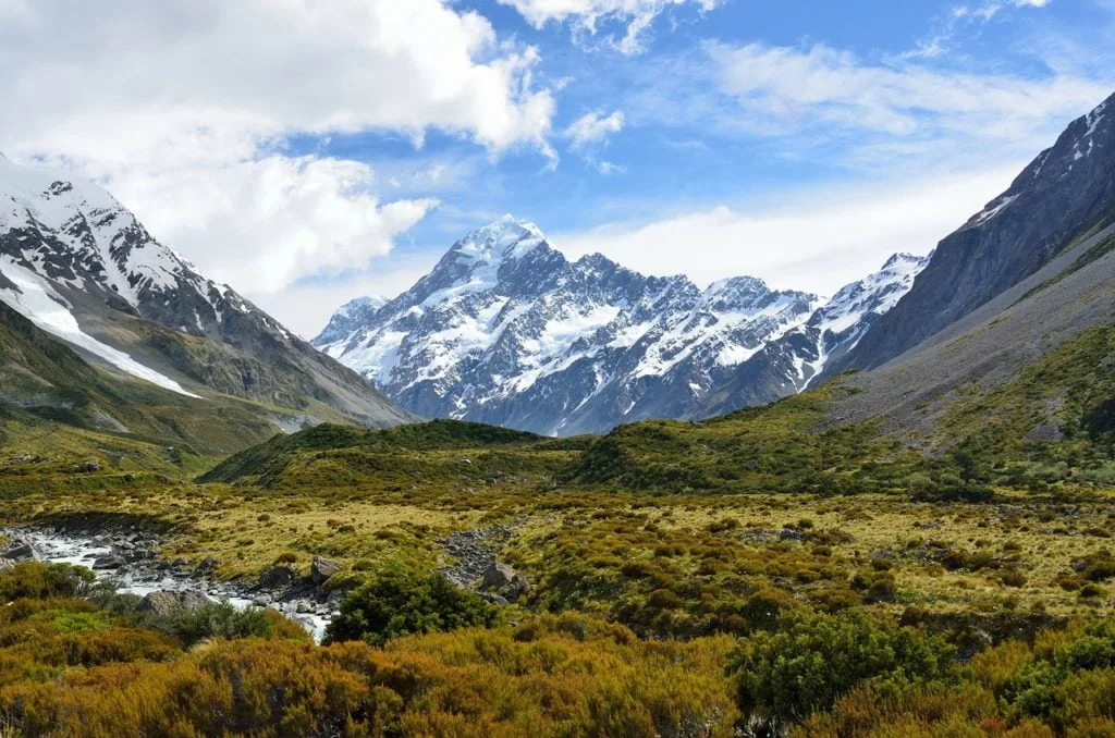 New Zealand 1