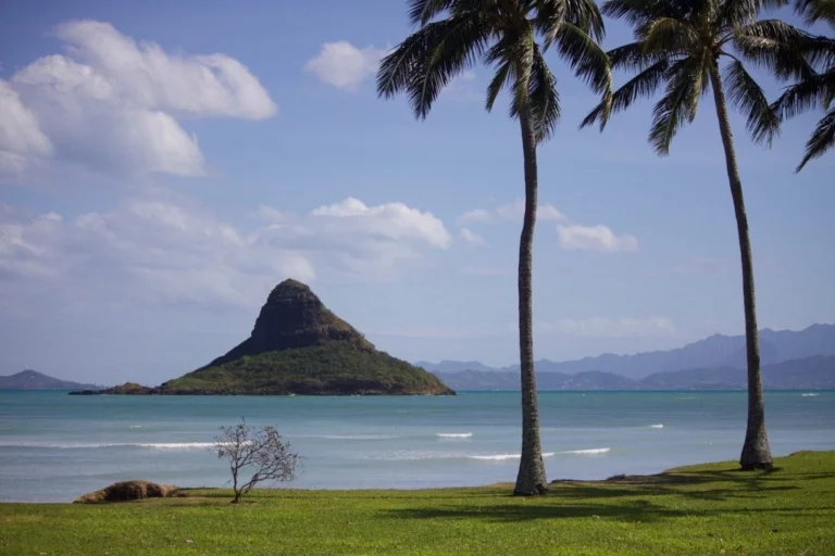 South Pacific Island