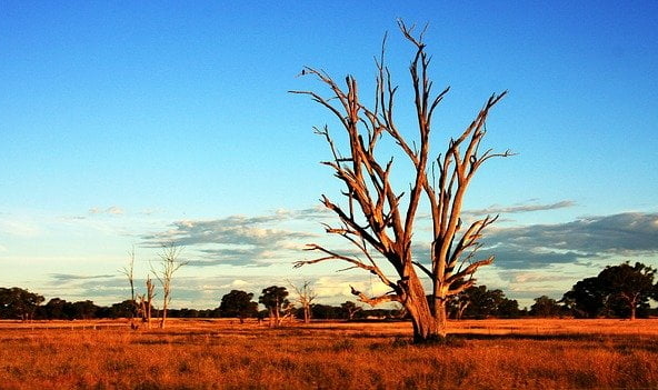 Northen Territory Outback